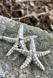 Sunny Starfish Drop Earrings