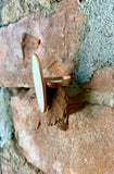 Copper Sleek Lines Mother of Pearl Ring Size 8