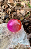 Vince Camuto Ombre Pink Dome Ring Size 7