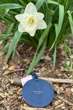 Hello Again Pink, Blue & White Luggage Tag