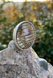 Abalone Cocktail Ring Size 7.5