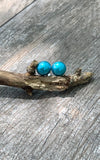 Iris & Lily Freshwater Pearl Stud Earrings