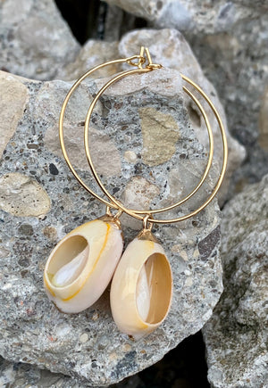 Bikini Babe Beige Enamel Cowrie Shell Earrings